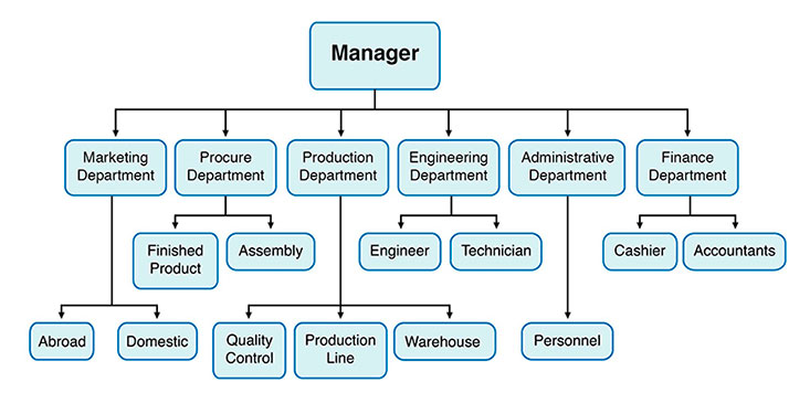 Figure 15 shows another company´s departments