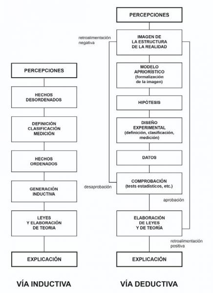 Diagrama que representa los caminos metodológicos en geografía, vías inductiva y deductiva.