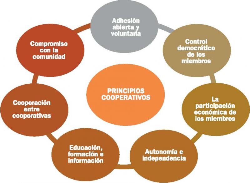 Adhesión abierta y voluntaria; control democrático; participación económica; autonomía e independencia; educación, formación e información; cooperación entre cooperativas; compromiso con la comunidad.